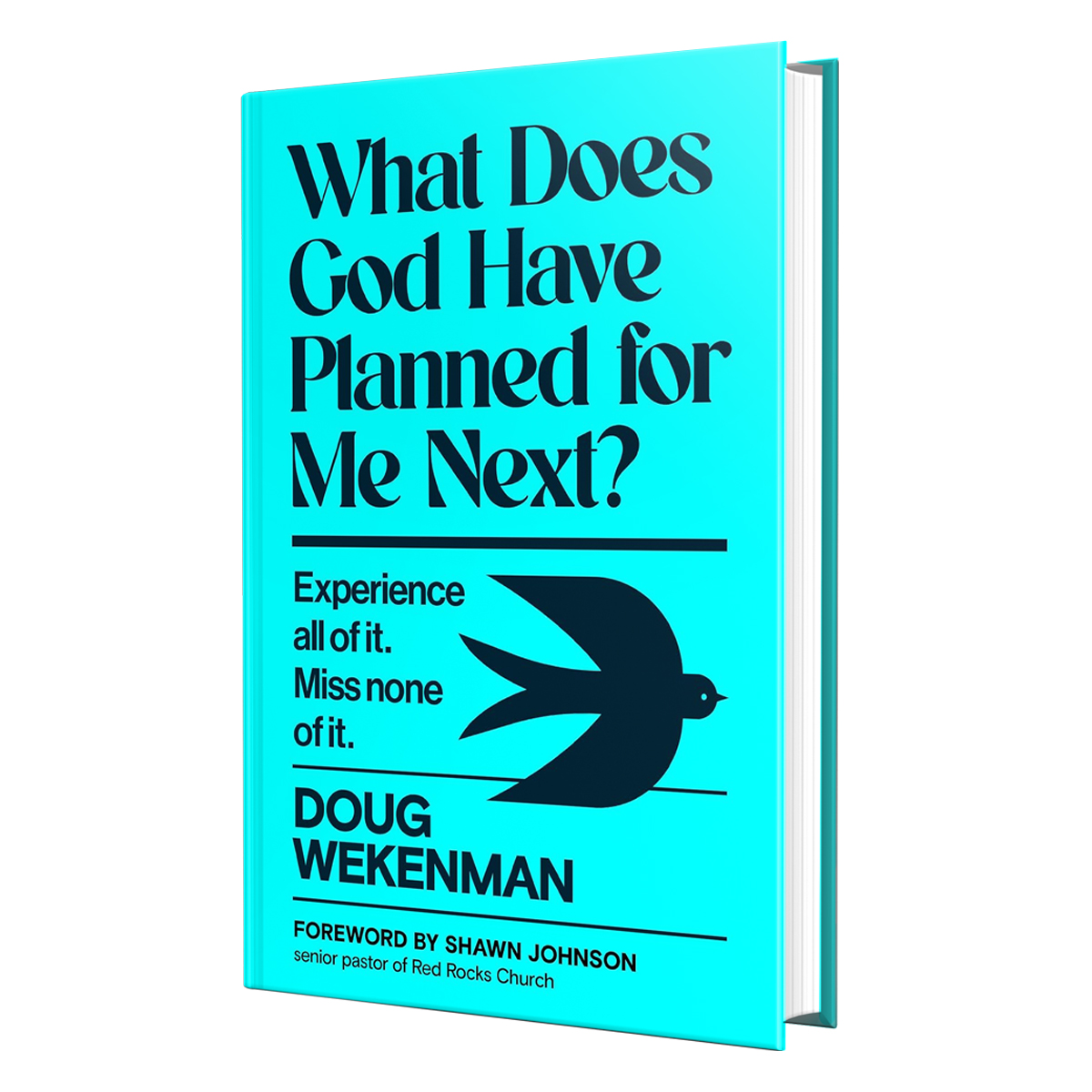 What Does God Have Planned for Me Next? by Doug Wekenman